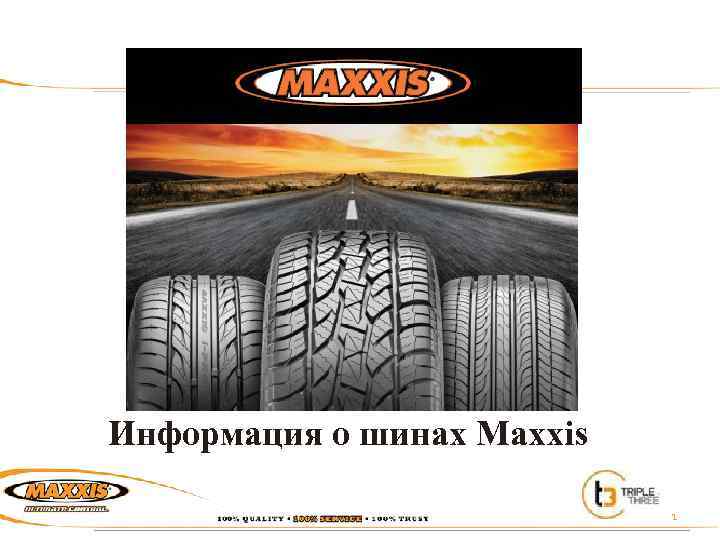 Информация о шинах Maxxis 1 