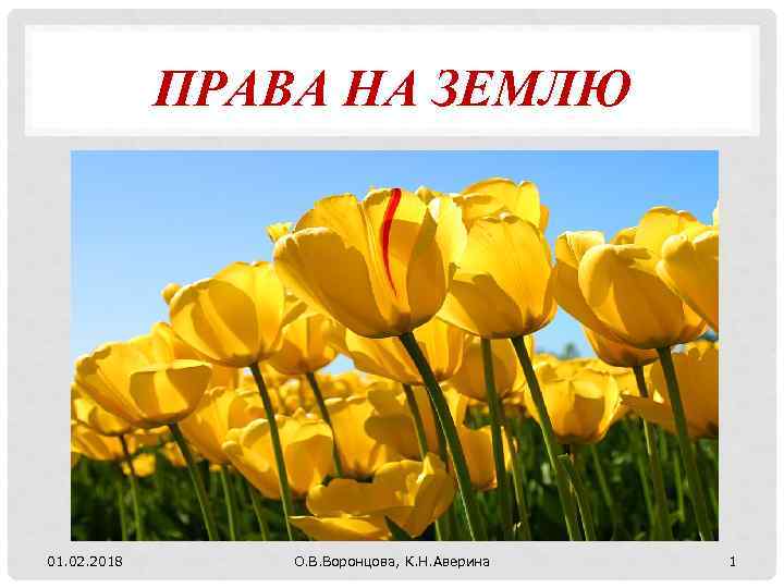 ПРАВА НА ЗЕМЛЮ 01. 02. 2018 О. В. Воронцова, К. Н. Аверина 1 