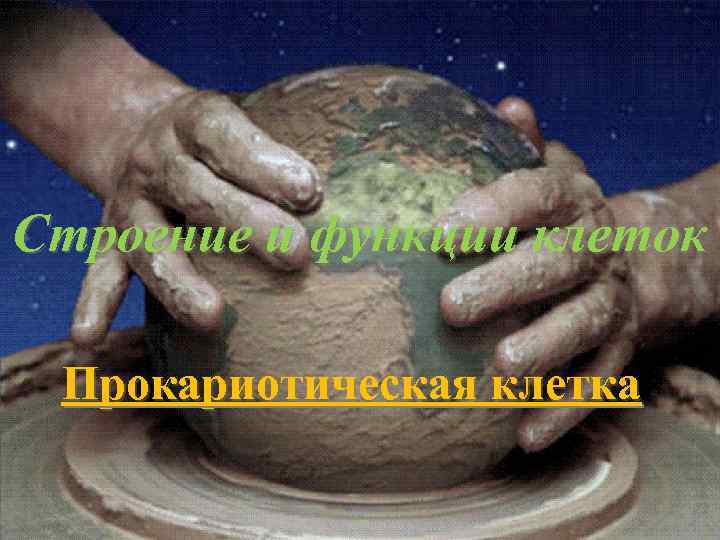 Строение и функции клеток Прокариотическая клетка 