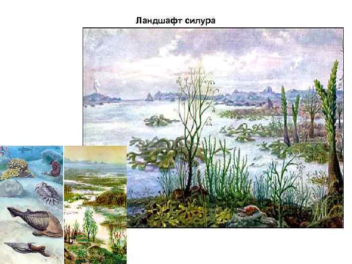 Ландшафт силура 