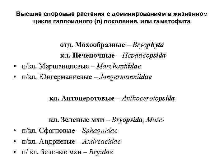 Высшие споровые растения с доминированием в жизненном цикле гаплоидного (п) поколения, или гаметофита отд.