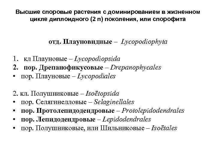 Высшие споровые растения с доминированием в жизненном цикле диплоидного (2 п) поколения, или спорофита