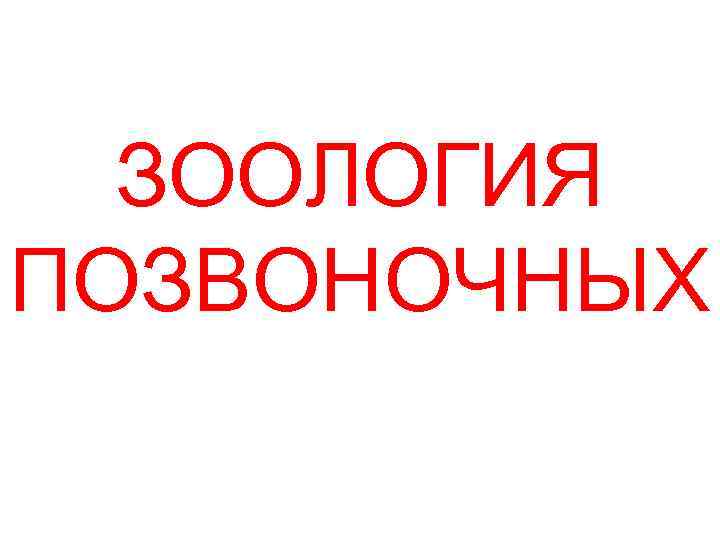 ЗООЛОГИЯ ПОЗВОНОЧНЫХ 