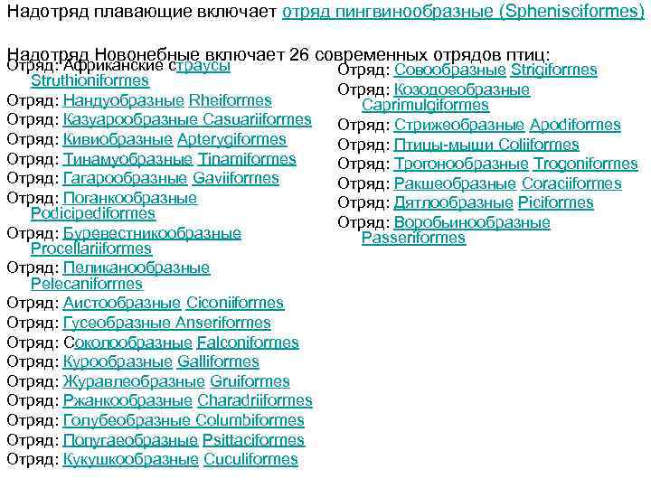 Надотряд плавающие включает отряд пингвинообразные (Sphenisciformes) Надотряд Новонебные включает 26 современных отрядов птиц: Отряд: