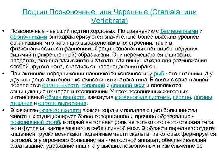 Подтип Позвоночные, или Черепные (Craniata, или Vertebrata) • • • Позвоночные - высший подтип
