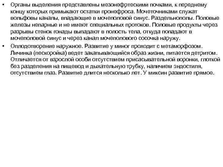  • • Органы выделения представлены мезонефртескими почками, к переднему концу которых примыкают остатки
