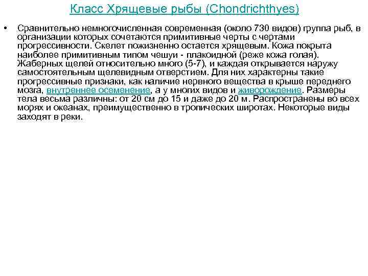 Класс Хрящевые рыбы (Chondrichthyes) • Сравнительно немногочисленная современная (около 730 видов) группа рыб, в