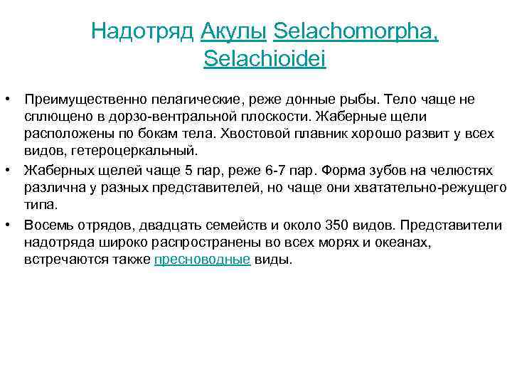 Надотряд Акулы Selachomorpha, Selachioidei • Преимущественно пелагические, реже донные рыбы. Тело чаще не сплющено