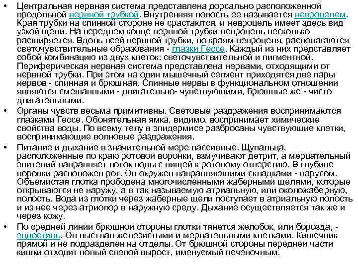  • • Центральная нервная система представлена дорсально расположенной продольной нервной трубкой. Внутренняя полость