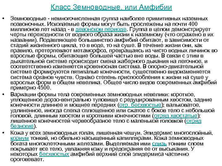 Класс Земноводные, или Амфибии • • • Земноводные - немногочисленная группа наиболее примитивных наземных