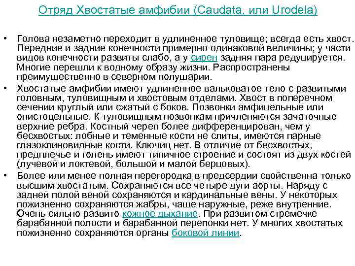 Отряд Хвостатые амфибии (Caudata, или Urodela) • Голова незаметно переходит в удлиненное туловище; всегда