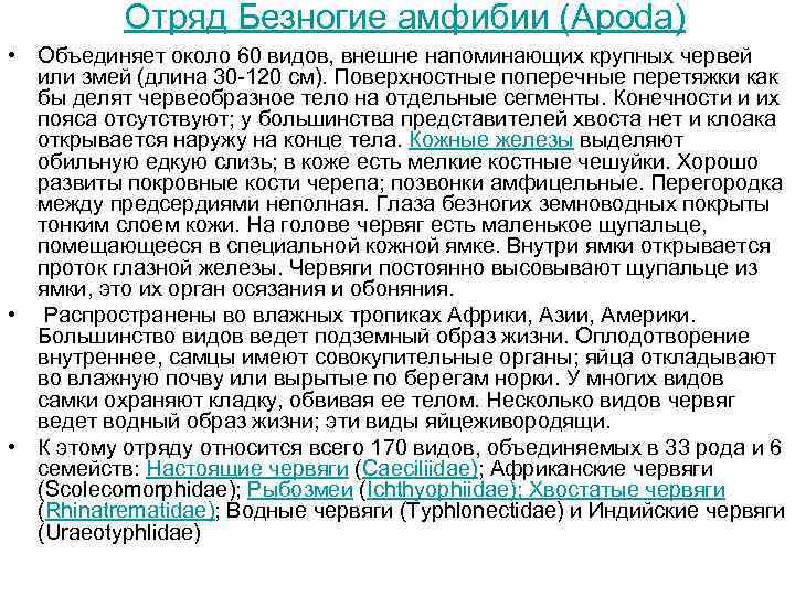 Отряд Безногие амфибии (Apoda) • Объединяет около 60 видов, внешне напоминающих крупных червей или