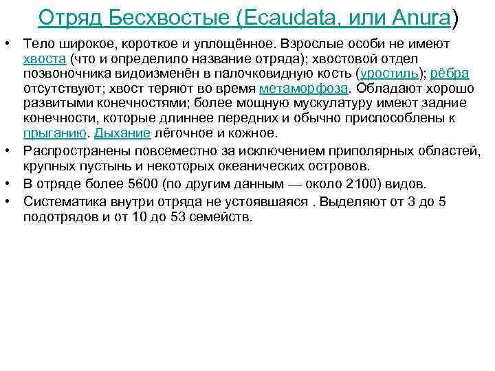Отряд Бесхвостые (Ecaudata, или Anura) • Тело широкое, короткое и уплощённое. Взрослые особи не
