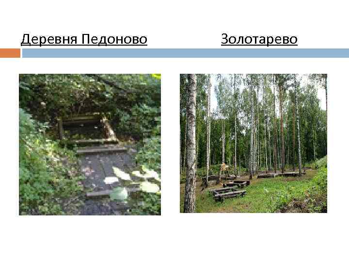 Деревня Педоново Золотарево 