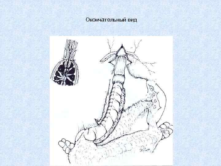 Окончательный вид 