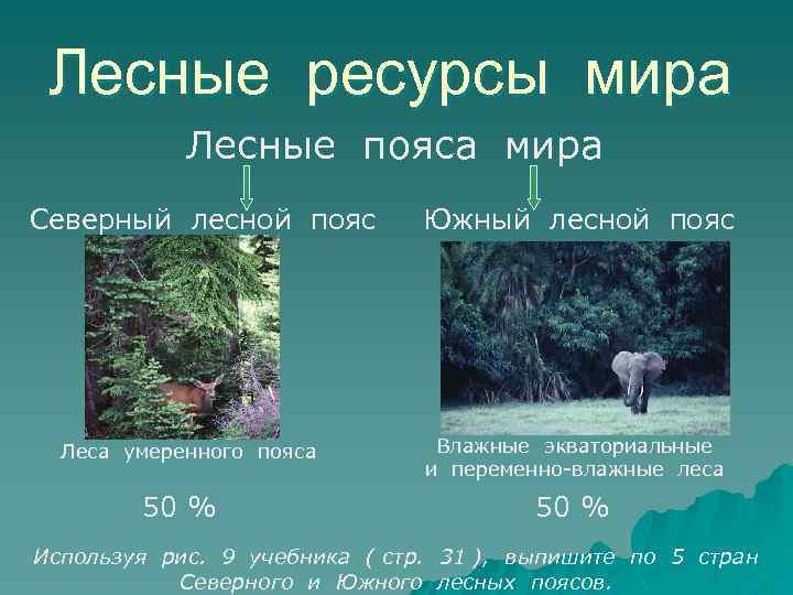 Лесные ресурсы мира Лесные пояса мира Северный лесной пояс Леса умеренного пояса 50 %