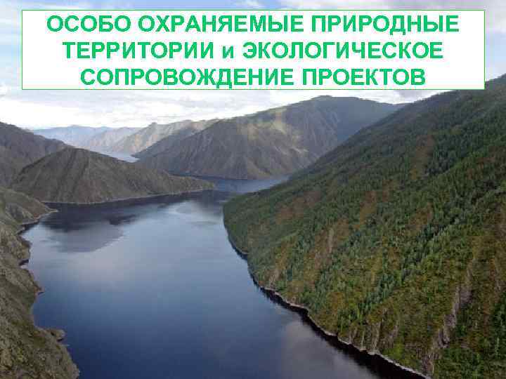 ОСОБО ОХРАНЯЕМЫЕ ПРИРОДНЫЕ ТЕРРИТОРИИ и ЭКОЛОГИЧЕСКОЕ СОПРОВОЖДЕНИЕ ПРОЕКТОВ 
