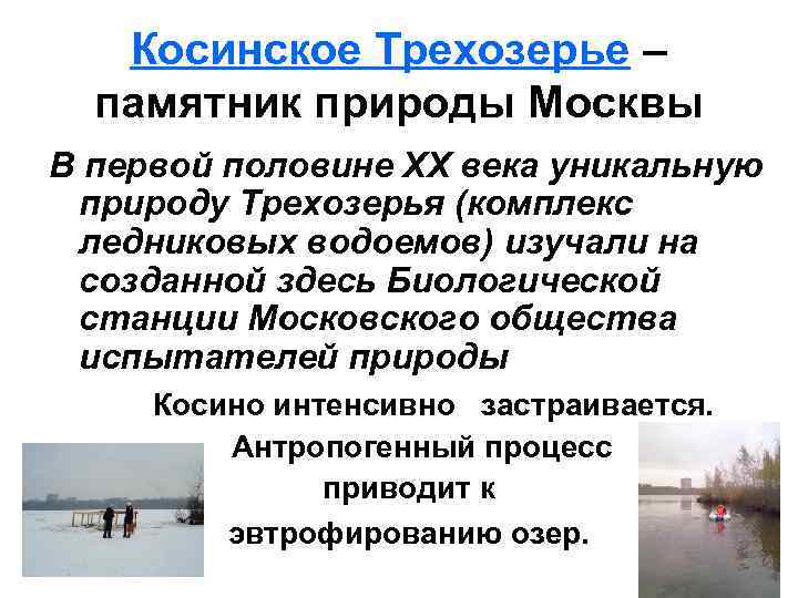 Косинское Трехозерье – памятник природы Москвы В первой половине ХХ века уникальную природу Трехозерья