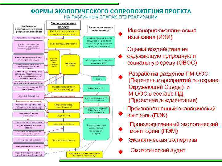 Этапы экологического проекта