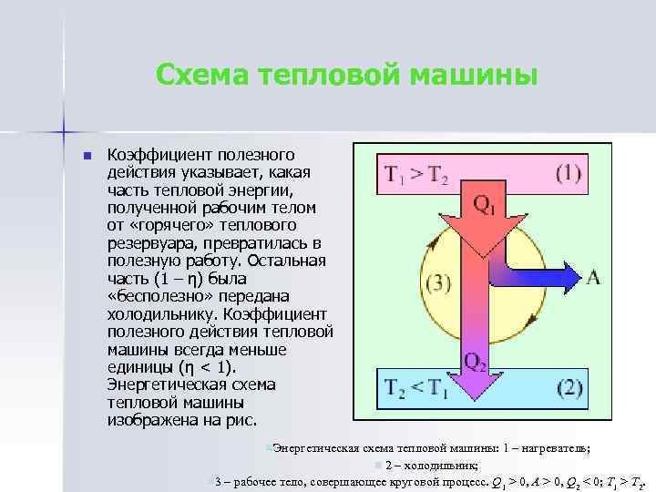 Схема тепловой машины n Коэффициент полезного действия указывает, какая часть тепловой энергии, полученной рабочим