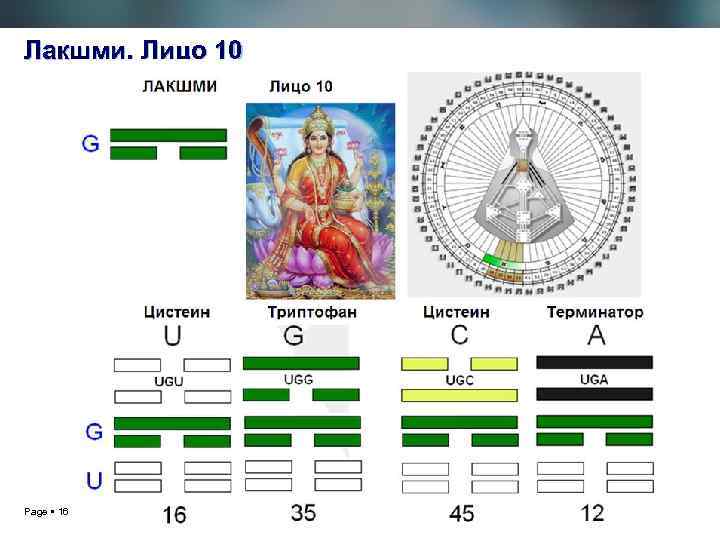 Лакшми. Лицо 10 Page 16 