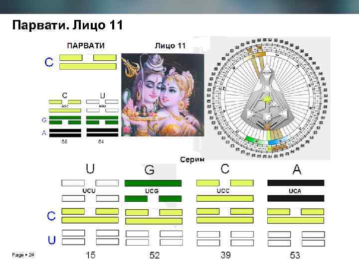Парвати. Лицо 11 Page 24 