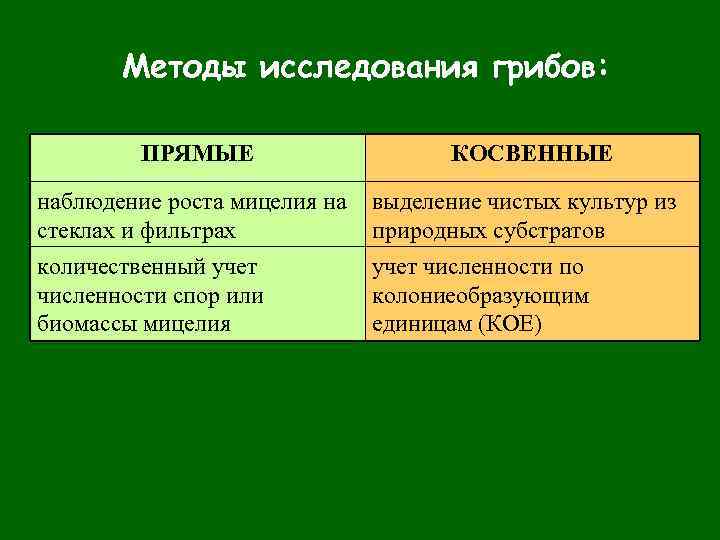 Методы исследования грибов: ПРЯМЫЕ КОСВЕННЫЕ наблюдение роста мицелия на стеклах и фильтрах выделение чистых