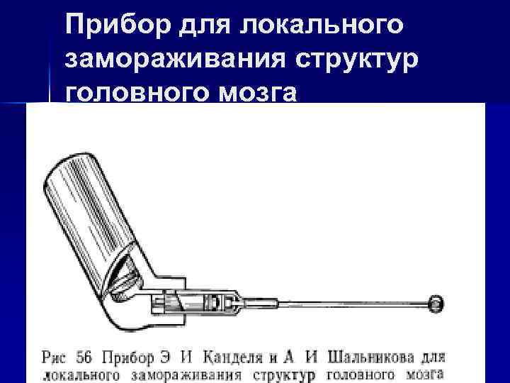 Прибор для локального замораживания структур головного мозга 