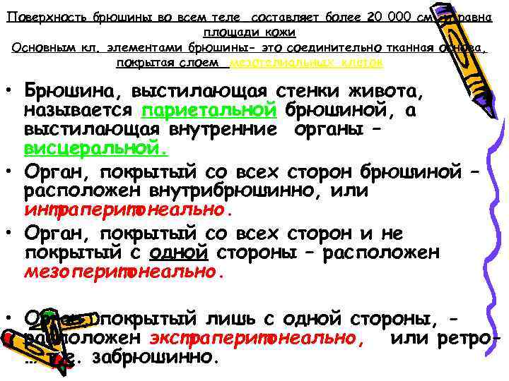 Поверхность брюшины во всем теле составляет более 20 000 см, и равна площади кожи