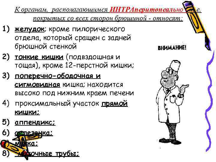 К органам, располагающимся ИНТРАперитонеально - т. е. покрытых со всех сторон брюшиной - относят: