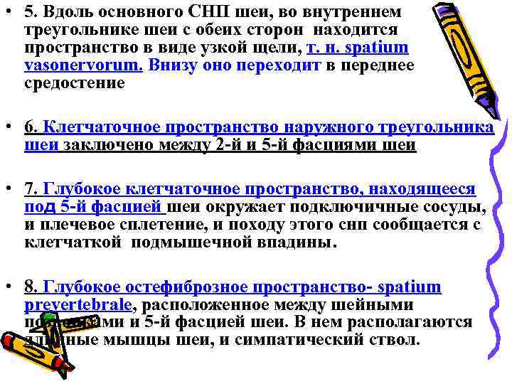  • 5. Вдоль основного СНП шеи, во внутреннем треугольнике шеи с обеих сторон