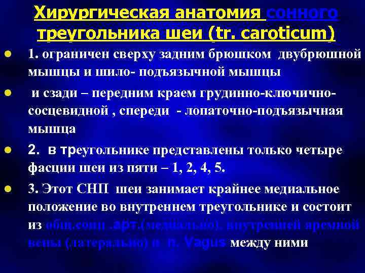 Хирургическая анатомия сонного треугольника шеи (tr. caroticum) l 1. ограничен сверху задним брюшком двубрюшной