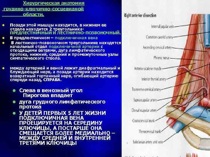  Foto 33