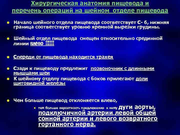 Хирургическая анатомия пищевода и перечень операций на шейном отделе пищевода l Начало шейного отдела