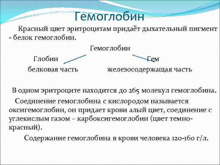 Гемоглобин Красный цвет эритроцитам придаёт дыхательный пигмент - белок гемоглобин. Гемоглобин Глобин Гем белковая