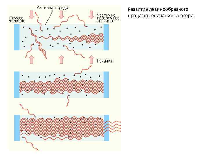 Развитие лавинообразного процесса генерации в лазере. 