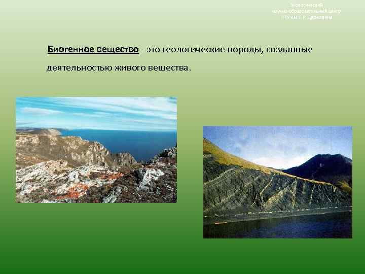 Экологический научно-образовательный центр ТГУ им. Г. Р. Державина Биогенное вещество - это геологические породы,