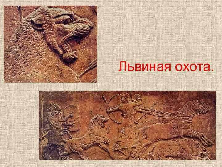 Львиная охота. 