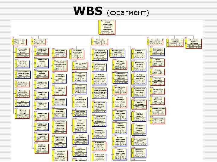 WBS (фрагмент) 