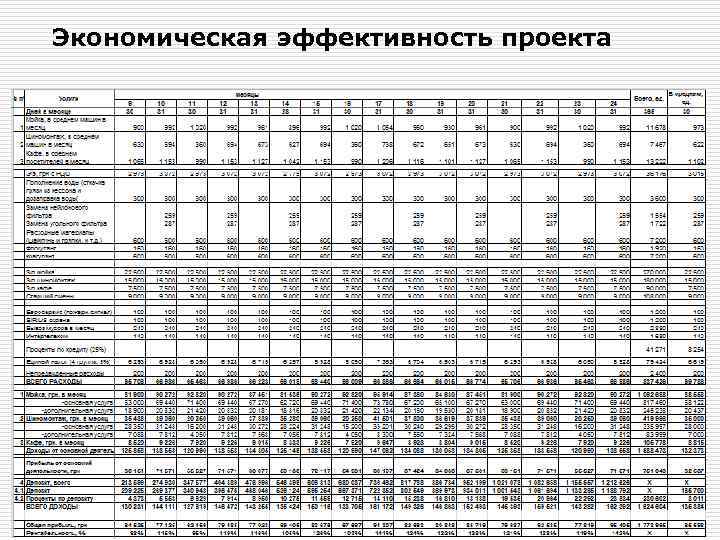 Экономическая эффективность проекта 