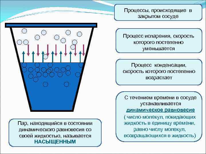 Процессы, происходящие в закрытом сосуде Процесс испарения, скорость которого постепенно уменьшается Процесс конденсации, скорость