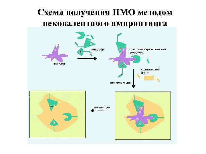 Схема получения ПМО методом нековалентного импринтинга 