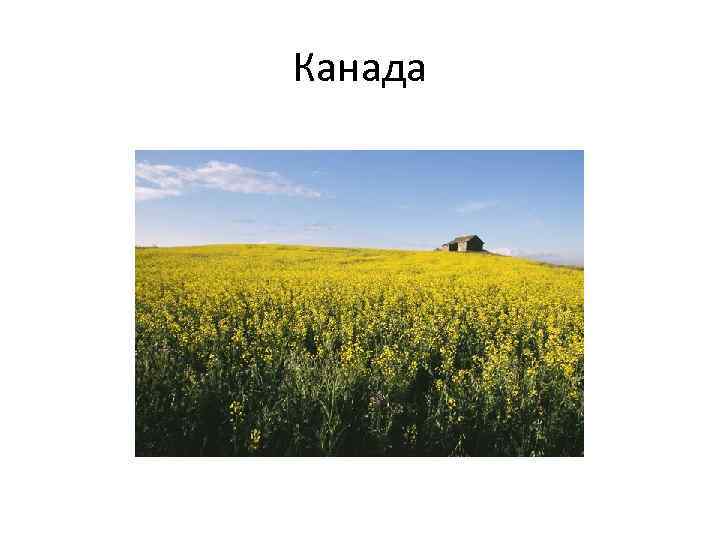 Канада 