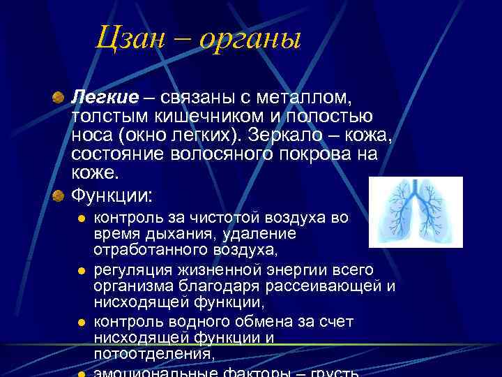 Цзан – органы Легкие – связаны с металлом, толстым кишечником и полостью носа (окно