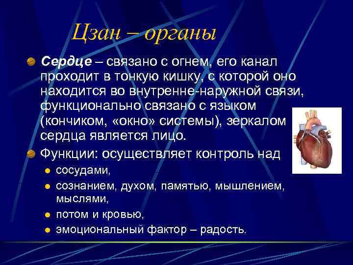 Цзан – органы Сердце – связано с огнем, его канал проходит в тонкую кишку,