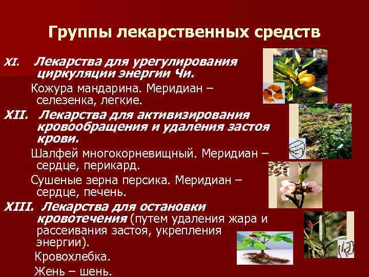 Группы лекарственных средств XI. Лекарства для урегулирования циркуляции энергии Чи. Кожура мандарина. Меридиан –