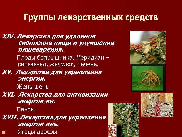 Группы лекарственных средств XIV. Лекарства для удаления скопления пищи и улучшения пищеварения. Плоды боярышника.