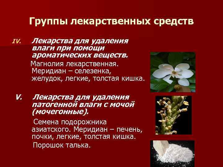 Группы лекарственных средств IV. Лекарства для удаления влаги при помощи ароматических веществ. Магнолия лекарственная.