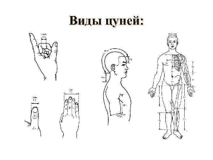 Виды цуней: 