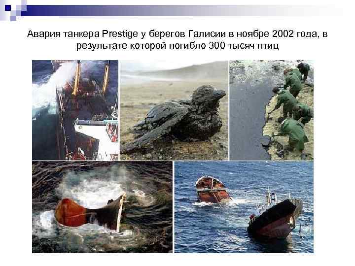 Авария танкера Prestige у берегов Галисии в ноябре 2002 года, в результате которой погибло